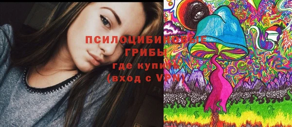 ГАЛЛЮЦИНОГЕННЫЕ ГРИБЫ Алексеевка
