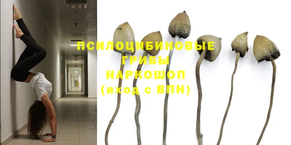 бутират Алзамай
