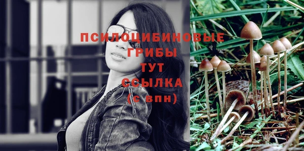 бутират Алзамай