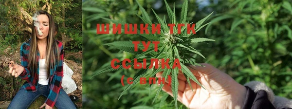 ГАЛЛЮЦИНОГЕННЫЕ ГРИБЫ Алексеевка