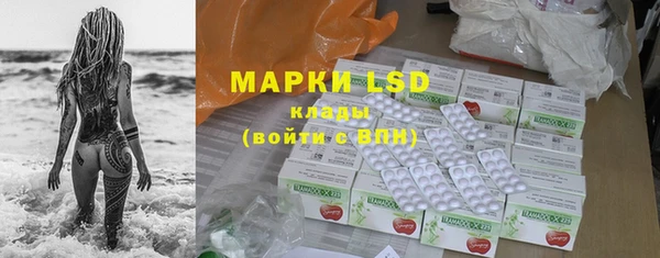 ГАЛЛЮЦИНОГЕННЫЕ ГРИБЫ Алексеевка