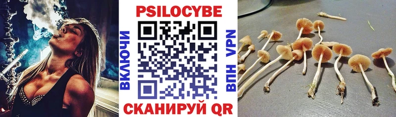 Галлюциногенные грибы Cubensis  Заинск 