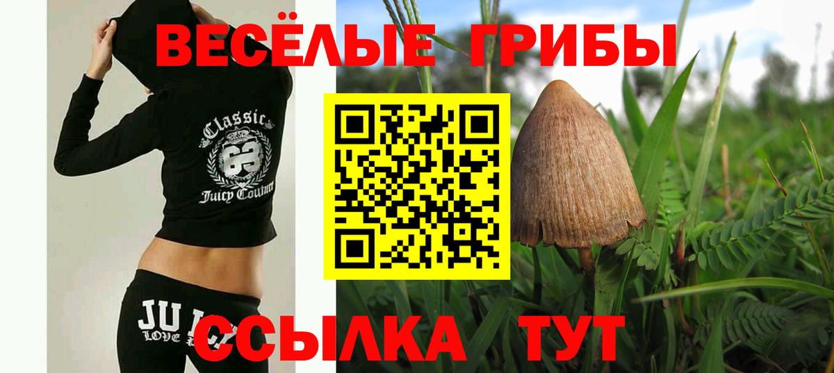 Псилоцибиновые грибы мухоморы Заинск