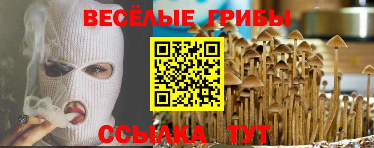 Псилоцибиновые грибы мухоморы  Вход с VPN  Заинск  Галлюциногенные грибы ЛСД 